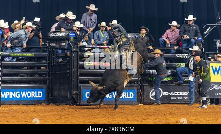 PBR World Finals 2024 in Dallas, Texas - Stierkämpfer hält acht Sekunden an Stockfoto