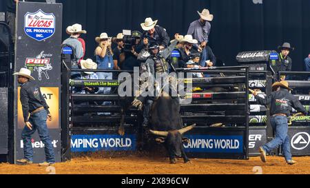 PBR World Finals 2024 in Dallas, Texas - Stierkämpfer hält acht Sekunden an Stockfoto