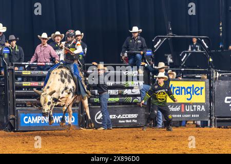 PBR World Finals 2024 in Dallas, Texas - Stierkämpfer hält acht Sekunden an Stockfoto