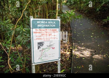Wonga Walk Closed Schild im Dorrigo Nationalpark, regionales New South Wales, Australien Stockfoto