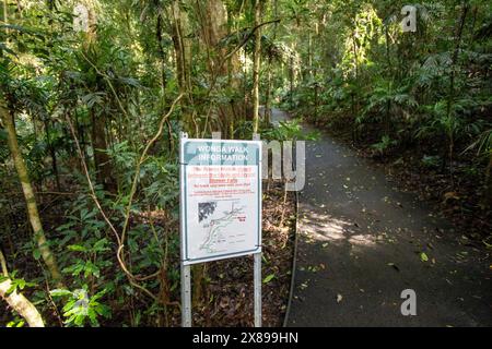 Wonga Walk Closed Schild im Dorrigo Nationalpark, regionales New South Wales, Australien Stockfoto