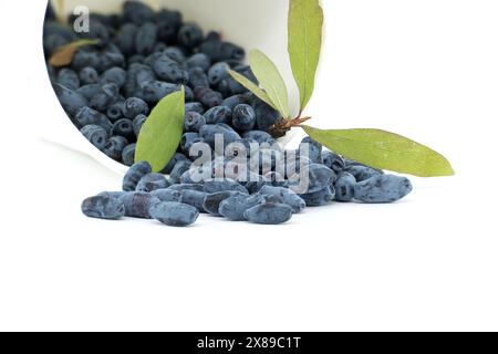 Borealis Honigbeeren und Zweig mit Blättern und Beeren isoliert auf weißem Hintergrund Stockfoto