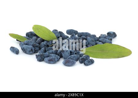 Geißblatt-Beeren und Zweig mit Blättern und Beeren isoliert auf weißem Hintergrund Stockfoto