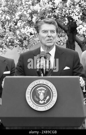 US-Präsident Ronald Reagan (1911–2004), der am 14. April 1983 aus dem Rose Garden des Weißen Hauses in Washington, D.C. ein Stipendienprogramm für Studenten der Karibik ankündigte. (USA). Stockfoto