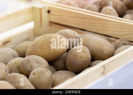 Frische Kartoffeln auf dem Bauernmarkt aus nächster Nähe. Essen Stockfoto