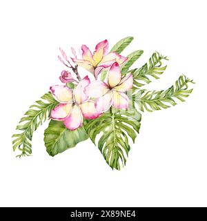 Plumeria-Blüten mit tropischen Monstera und Bananenblättern. Frangipani-Blumenmuster. Handgezeichnete Aquarellillustration isoliert auf weißem Hintergrund Stockfoto