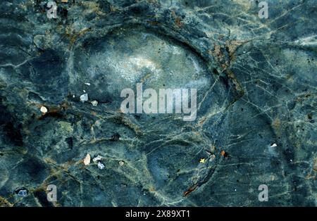 Foto der Steinstruktur. Makro. Verschiedene Blau-, Türkis-, Grau- und Weißtöne. Der Stein ist mit dünnen, hellen Pastelllinien bedeckt. An Ort und Stelle Stockfoto