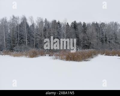 Wunderschöne Winterlandschaft mit viel Schnee Stockfoto