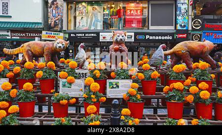 INDIEN, SIKKIM, GANGTOK, Dezember 2023, Tourist, an den Statuen von roten Pandas und Marigolds auf der MG Road. Stockfoto