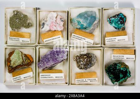 Auswahl an bunten Felsen und Mineralien aus Mexiko Stockfoto