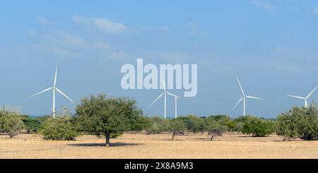 Die Gegenüberstellung moderner Windturbinen vor dem Hintergrund einer kargen, trockenen Landschaft unterstreicht die Integration erneuerbarer Energien in Stockfoto