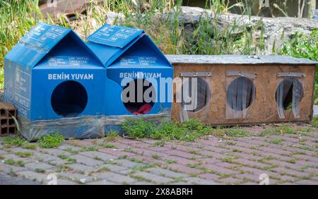 Häuser für streunende Katzen aus der Gemeinde Besiktas in Istanbul Stadt, Türkei. Gebaut von einer Vereinigung, die sich auf Tierrettung spezialisiert hat. Stockfoto