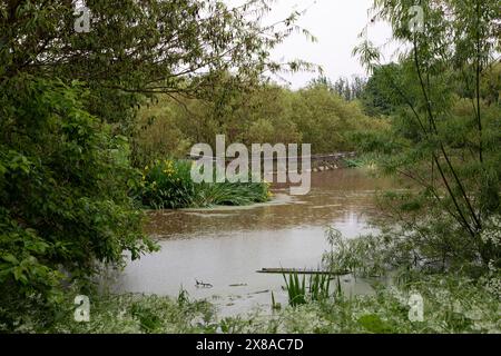 Figgate Burn Park, Edinburgh, Schottland, Großbritannien. Mai 2024. Wege und Promenade unter Wasser rund um den Park, da zwei Tage lang starker Regen den Teich überlaufen hat. Quelle: Arch White/Alamy Live News. Stockfoto