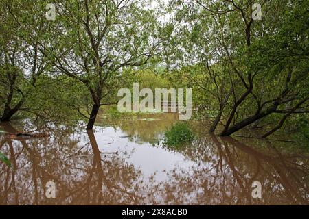 Figgate Burn Park, Edinburgh, Schottland, Großbritannien. Mai 2024. Wege und Promenade unter Wasser rund um den Park, da zwei Tage lang starker Regen den Teich überlaufen hat. Quelle: Arch White/Alamy Live News. Stockfoto