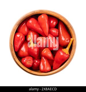 Eingelegte rote, heiße Paprika in einer Holzschale. Kleine heiße Chilis, Paprika oder Paprika, pasteurisiert und in einer Essigsalze haltbar gemacht. Stockfoto