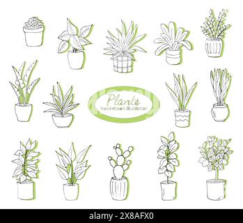 Pflanzen in Töpfen auf weißem Hintergrund. Einfache Doodle-Hauspflanzen. Botanik-Illustrationen der Gartenarbeit. Natürliche, trendige Wohnkultur. Vektorsatz von OUT Stock Vektor