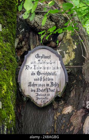 Schild mit alten deutschen Buchstaben auf dem Stamm der 800 Jahre alten Linde, einem Naturdenkmal auf dem Postplatz in der Gemeinde Heiligenb Stockfoto