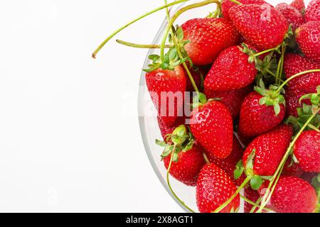 Blick von oben auf Erdbeeren in Glasschale auf weißem Hintergrund Stockfoto