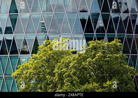 Grüner Baum vor dem Westhafenturm mit einer diamantförmigen, benzinfarbenen Fassadenstruktur, die an ein Apfelweinglas erinnert, Frankfurt am Ma Stockfoto