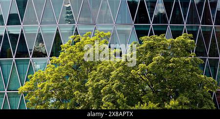 Grüner Baum vor dem Westhafenturm mit einer diamantförmigen, benzinfarbenen Fassadenstruktur, die an ein Apfelweinglas erinnert, Frankfurt am Ma Stockfoto