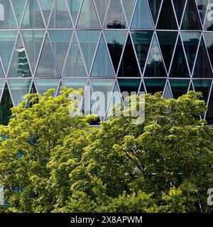 Grüner Baum vor dem Westhafenturm mit einer diamantförmigen, benzinfarbenen Fassadenstruktur, die an ein Apfelweinglas erinnert, Frankfurt am Ma Stockfoto