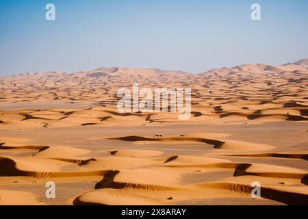 Ein Mann führt zwei Kamele, während er über die riesige Sahara de wandert Stockfoto