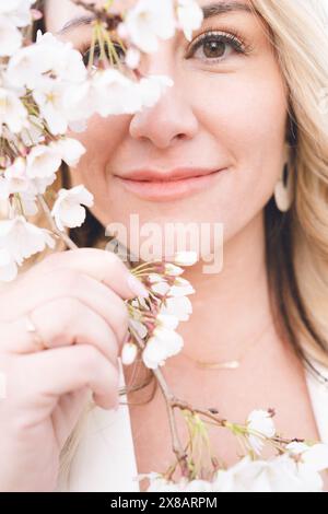 Kirschblüten in Washington, D.C. Stockfoto