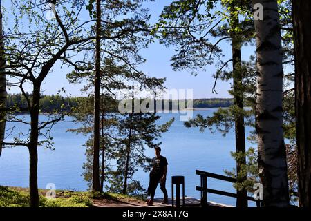 Bäume am Meer in Kuusisaari, Helsinki, Finnland Stockfoto