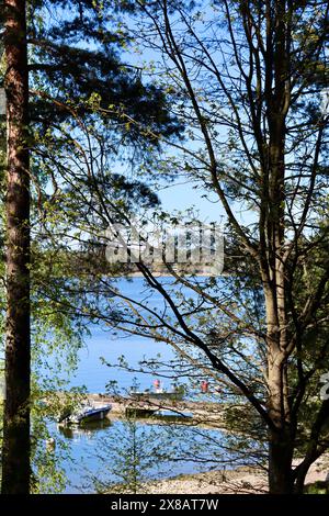 Bäume am Meer in Kuusisaari, Helsinki, Finnland Stockfoto