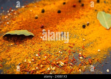 Indische Gewürze auf schwarzem Hintergrund. Curry und Chilipulver, Pfeffer, Paprika und Lorbeerblätter. Indische Kultur Hintergrund. Asiatische Küche. Würzige Kräuter. Stockfoto