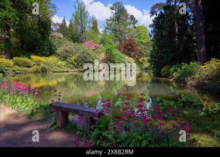 Leonardslee Lakes and Gardens Horsham Sussex UK Stockfoto