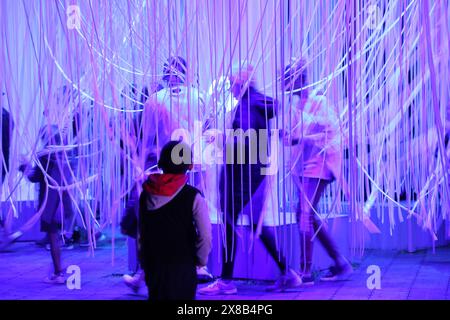 Sydney, Australien. Mai 2024. Vivid Sydney beginnt und läuft vom 24. Mai bis 15. Juni 2024. Richard Milnes/Alamy Live News Stockfoto