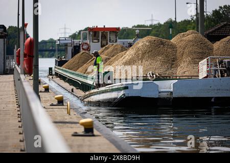 Vechelde, Deutschland. Mai 2024. Ein mit Sanddocks beladener Lastkahn an der Schleuse Wedtlenstedt vor dem Spatenstich für den Ausbau des Zweigkanals nach Salzgitter. Der Salzgitter-Zweigkanal ist über den Mittellandkanal mit dem Ruhrgebiet und den Überseehäfen verbunden. Kredit: Moritz Frankenberg/dpa/Alamy Live News Stockfoto