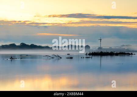 Nebeliger Morgen an der Donau bei Bertoldsheim, Bayern, Deutschland Stockfoto