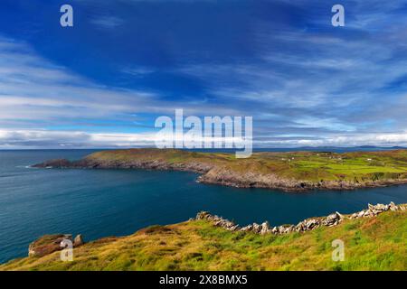 Steinmauern und Felder oberhalb des South Harbour auf Cape Clear, einer irischen (Gaeltacht) sprechenden Insel vor der Küste von County Cork, Irland. Stockfoto