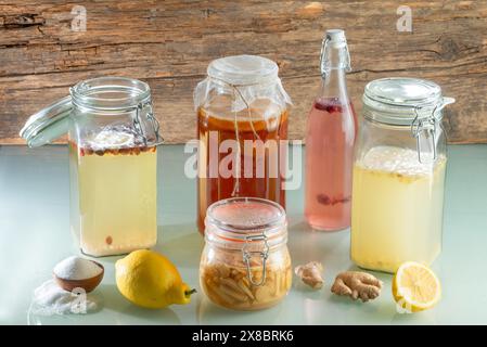 Fermentierte probiotische Getränke – Wasserkefir, Kobucha, Ginger Ale, Ginger Bug Stockfoto