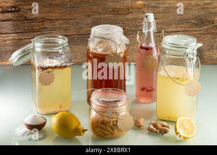 Fermentierte probiotische Getränke - Wasserkefir, Kobucha, Ginger Ale, Ginger Bug - Pappschilder Stockfoto