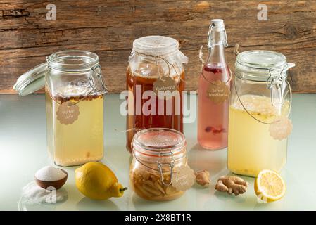 Fermentierte probiotische Getränke - Wasserkefir, Kobucha, Ginger Ale, Ingwerbug mit Pappschildern und Früchten Stockfoto