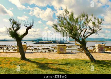 Tamarix Chinensis Bäume neben der Bucht mit einem Trichter-Baggerschiff Tristao da Cunha und der Insel Isla de la Torre Santander Cantabria Spanien Stockfoto