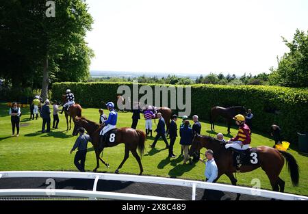 Ein allgemeiner Überblick über die Parade nach den britischen Hallion Studs EBF Fillies' Handicap am ersten Tag des Maifestivals auf der Goodwood Racecourse, Chichester. Bilddatum: Freitag, 24. Mai 2024. Stockfoto