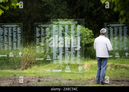 DRONTEN - die Gedenktafeln für verstorbene Krebspatienten im Wilhelminabos wurden restauriert. Das Denkmal, das aus 67 Glasplatten bestand, wurde am 19. Juni 2023 zerstört. ANP JEROEN JUMELET niederlande Out - belgien Out Stockfoto