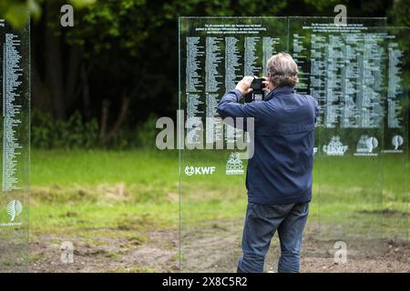 DRONTEN - die Gedenktafeln für verstorbene Krebspatienten im Wilhelminabos wurden restauriert. Das Denkmal, das aus 67 Glasplatten bestand, wurde am 19. Juni 2023 zerstört. ANP JEROEN JUMELET niederlande Out - belgien Out Stockfoto