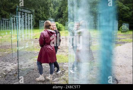 DRONTEN - die Gedenktafeln für verstorbene Krebspatienten im Wilhelminabos wurden restauriert. Das Denkmal, das aus 67 Glasplatten bestand, wurde am 19. Juni 2023 zerstört. ANP JEROEN JUMELET niederlande Out - belgien Out Stockfoto