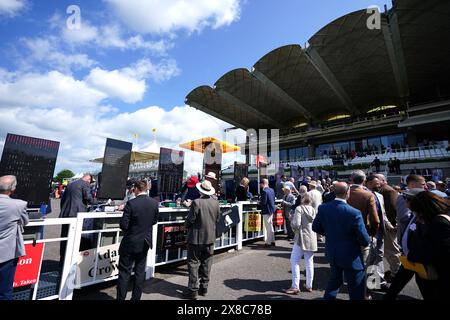 Eine allgemeine Ansicht des Buchmachers steht am ersten Tag des Maifestivals auf der Goodwood Racecourse in Chichester. Bilddatum: Freitag, 24. Mai 2024. Stockfoto