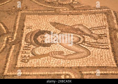 Boden Sie, Mosaiken, Petra Kirche (auch bekannt als die byzantinische Kirche), erbaut zwischen dem 5. und 7. Jahrhundert n. Chr., Petra, Jordanien Stockfoto