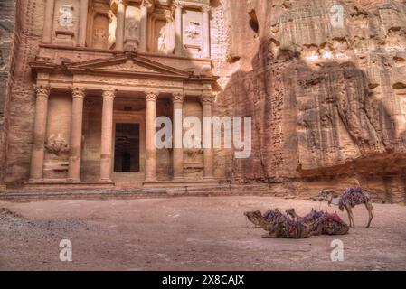 Kamele vor der Schatzkammer, Petra, Jordanien Stockfoto