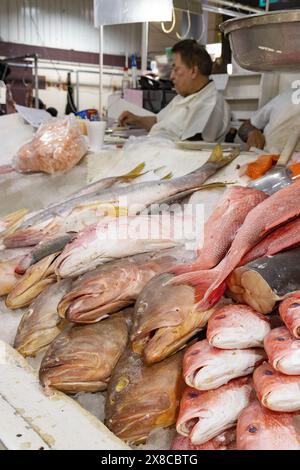 Fischhändler und Fische in einem überdachten Fischstand, San Juan Indoor Food Market, San Juan Market; Mexico City, Mexiko. Stockfoto