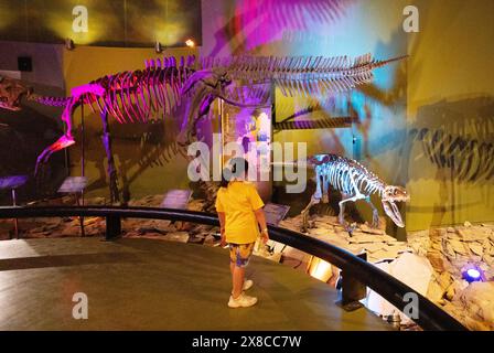 Kleines Mädchen im Alter von 10 Jahren mit Blick auf Dinosaurierfossilien und Skelett, Museo del Desierto, (Wüstenmuseum), Mexiko. Stockfoto