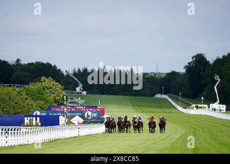 Der Wilder Tiger, der von Jockey Oisin Murphy geritten wurde, gewinnt am ersten Tag des Maifestivals auf der Goodwood Racecourse, Chichester, das William Hill Epic Boost Handicap. Bilddatum: Freitag, 24. Mai 2024. Stockfoto