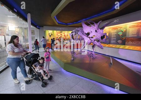 Junge Familie mit Kindern, die sich ein Dinosaurierfossil und Knochen ansehen, Museo del Desierto (Wüstenmuseum), Saltillo, Mexiko. Stockfoto